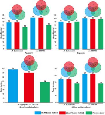 Genome-Wide Identification and Characterization of Gene Families in Arachis: Methods and Strategies